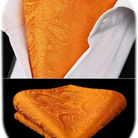REVXSC Ascot Ties for Men Paisley Cravat Tie and