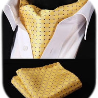 REVXSC Ascot Ties for Men Paisley Cravat Tie and