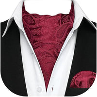 REVXSC Ascot Ties for Men Paisley Cravat Tie and