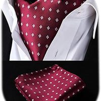 REVXSC Ascot Ties for Men Paisley Cravat Tie and