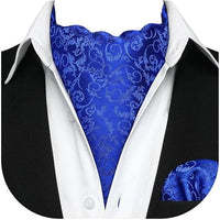REVXSC Ascot Ties for Men Paisley Cravat Tie and