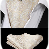 REVXSC Ascot Ties for Men Paisley Cravat Tie and