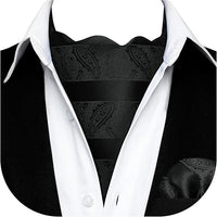 REVXSC Ascot Ties for Men Paisley Cravat Tie and