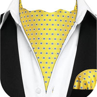 REVXSC Ascot Ties for Men Paisley Cravat Tie and