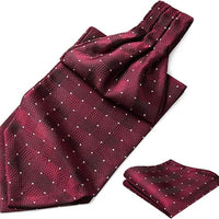 REVXSC Ascot Ties for Men Paisley Cravat Tie and