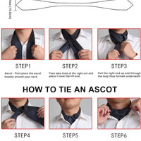 REVXSC Ascot Ties for Men Paisley Cravat Tie and