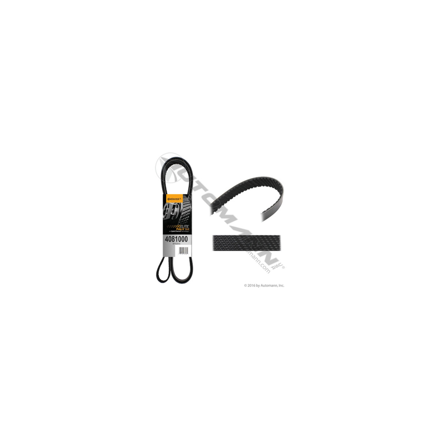 CONTINENTAL STANDARD REPLACEMENT BELT W/ A/C TO SUIT FORD F350 Super Duty 5.4L V8 (1999-2001)