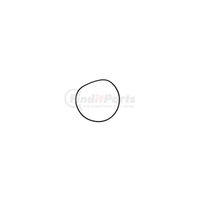 PIONEER STANDARD REPLACEMENT FLUID PUMP O-RING TO SUIT FORD Explorer 5.0L V8 (1996-2001)