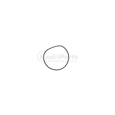 PIONEER STANDARD REPLACEMENT FLUID PUMP O-RING TO SUIT FORD F150 5.4L V8 (1997-2004)