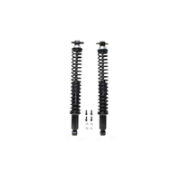 WESTAR ECONOMY SHOCK / STRUT & COIL SPRING ASSEMBLY TO SUIT FORD Expedition 4.6L V8 (1997-2002)